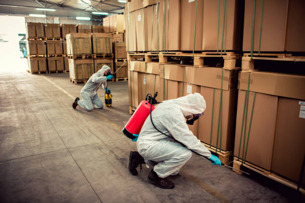 Best Pest Inspection Near Me  in Brisbane, CA