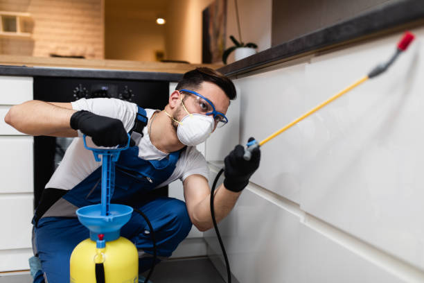 Best Wasp Removal Services  in Brisbane, CA