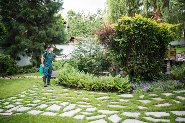 Best Affordable Pest Control Services  in Brisbane, CA