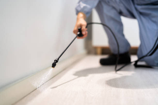 Flea Control Services in Brisbane, CA